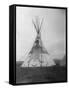 Decorated Crow Tepee-null-Framed Stretched Canvas