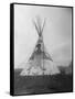 Decorated Crow Tepee-null-Framed Stretched Canvas