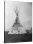 Decorated Crow Tepee-null-Stretched Canvas