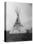 Decorated Crow Tepee-null-Stretched Canvas