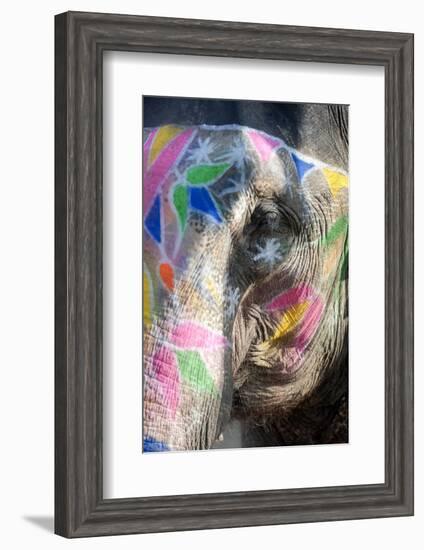 Decorated Elephant, Amber Elephant Sanctuary, Near Jaipur, Rajasthan, India, Asia-Annie Owen-Framed Photographic Print