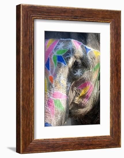 Decorated Elephant, Amber Elephant Sanctuary, Near Jaipur, Rajasthan, India, Asia-Annie Owen-Framed Photographic Print