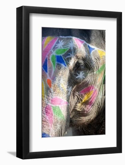 Decorated Elephant, Amber Elephant Sanctuary, Near Jaipur, Rajasthan, India, Asia-Annie Owen-Framed Photographic Print