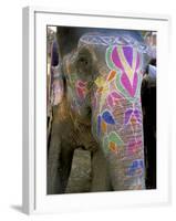 Decorated Elephant at the Amber Fort, Jaipur, Rajasthan State, India-Bruno Morandi-Framed Photographic Print