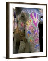 Decorated Elephant at the Amber Fort, Jaipur, Rajasthan State, India-Bruno Morandi-Framed Photographic Print