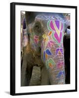 Decorated Elephant at the Amber Fort, Jaipur, Rajasthan State, India-Bruno Morandi-Framed Photographic Print