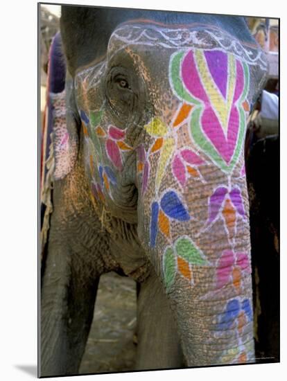 Decorated Elephant at the Amber Fort, Jaipur, Rajasthan State, India-Bruno Morandi-Mounted Photographic Print