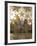 Decorated Glass Door in Sheikh Zayed Grand Mosque, Abu Dhabi, United Arab Emirates, Middle East-Angelo Cavalli-Framed Photographic Print