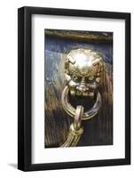 Decorated Iron Vats In, Forbidden City, Beijing China-Michael DeFreitas-Framed Photographic Print