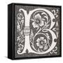 Decorated Letter 'B', from 'Le Moyen Age Et La Renaissance' by Paul Lacroix (1806-84) Published…-null-Framed Stretched Canvas