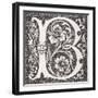 Decorated Letter 'B', from 'Le Moyen Age Et La Renaissance' by Paul Lacroix (1806-84) Published…-null-Framed Giclee Print
