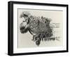 Decorated Prow of War Canoe Belonging to Maori Chief Rauparaha-George French Angas-Framed Giclee Print