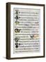 Decorated Text Page, 800 Ad-null-Framed Giclee Print