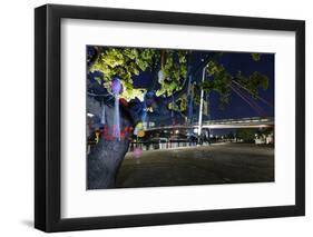 Decorated Tree of a Couple in Love in Front of Holbeinsteg, Footbridge, Frankfurt on the Main-Axel Schmies-Framed Photographic Print