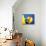 Decorating-Frank Farrelly-Mounted Giclee Print displayed on a wall
