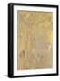 Décoration Domecy : arbres, fond jaune-Odilon Redon-Framed Giclee Print