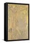 Décoration Domecy : arbres, fond jaune-Odilon Redon-Framed Stretched Canvas