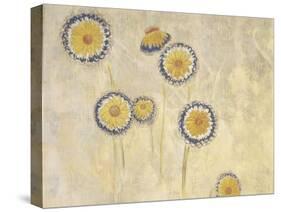 Décoration Domecy : marguerites-Odilon Redon-Stretched Canvas