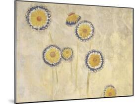 Décoration Domecy : marguerites-Odilon Redon-Mounted Giclee Print