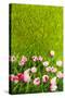 Decoration Grass with Flowers-Ivonnewierink-Stretched Canvas