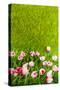 Decoration Grass with Flowers-Ivonnewierink-Stretched Canvas