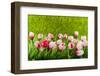 Decoration Grass with Flowers-Ivonnewierink-Framed Photographic Print