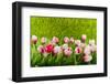 Decoration Grass with Flowers-Ivonnewierink-Framed Photographic Print