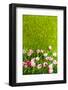 Decoration Grass with Flowers-Ivonnewierink-Framed Photographic Print