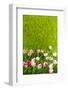 Decoration Grass with Flowers-Ivonnewierink-Framed Photographic Print