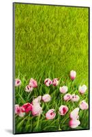 Decoration Grass with Flowers-Ivonnewierink-Mounted Photographic Print