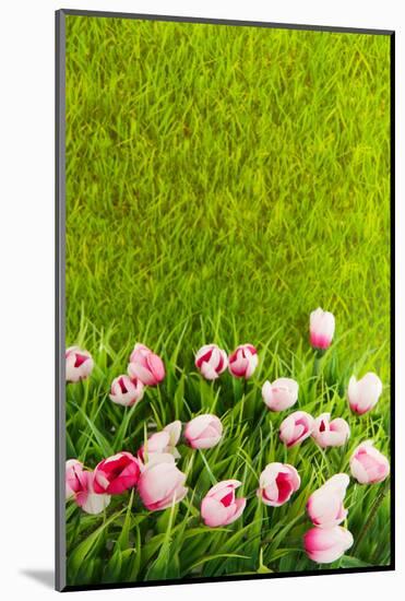 Decoration Grass with Flowers-Ivonnewierink-Mounted Photographic Print