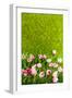 Decoration Grass with Flowers-Ivonnewierink-Framed Photographic Print