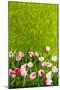 Decoration Grass with Flowers-Ivonnewierink-Mounted Photographic Print