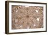 Decoration of Vaulted Ceiling of Music Hall, 1591-1596-Baldassare Maggi-Framed Giclee Print