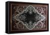 Decoration on Inside of Ebony Cabinet Door-Andre-charles Boulle-Framed Stretched Canvas