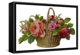 Decorative Arrangement of Roses in Wicker Basket-null-Framed Stretched Canvas