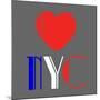 Decorative Art - Love Sign - NYC - New York City - USA-Philippe Hugonnard-Mounted Art Print