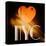 Decorative Art - Love Sign - NYC - New York City - USA-Philippe Hugonnard-Stretched Canvas