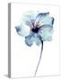 Decorative Blue Flower, Watercolor Illustration-Regina Jershova-Stretched Canvas