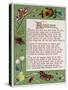 Decorative Border Illustrating Autumn, Moths Butterflies-Blanche de Montmorency Conyers Morrell-Stretched Canvas