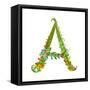 Decorative Botanical Elegant Alphabet Letter A.-Popmarleo-Framed Stretched Canvas