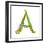 Decorative Botanical Elegant Alphabet Letter A.-Popmarleo-Framed Art Print