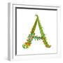 Decorative Botanical Elegant Alphabet Letter A.-Popmarleo-Framed Art Print