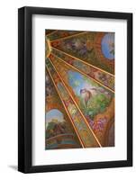 Decorative Ceilings in Bathing Pavilion-Neil Farrin-Framed Photographic Print