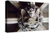 Decorative Detail, the Ceiling of the Library in Abbotsford House, Near Melrose, Scottish Borders-null-Stretched Canvas