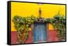 Decorative Doo on the Streets of San Miguel De Allende, Mexico-Chuck Haney-Framed Stretched Canvas