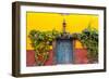 Decorative Doo on the Streets of San Miguel De Allende, Mexico-Chuck Haney-Framed Photographic Print