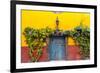 Decorative Doo on the Streets of San Miguel De Allende, Mexico-Chuck Haney-Framed Photographic Print