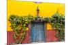 Decorative Doo on the Streets of San Miguel De Allende, Mexico-Chuck Haney-Mounted Photographic Print