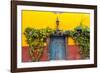 Decorative Doo on the Streets of San Miguel De Allende, Mexico-Chuck Haney-Framed Photographic Print